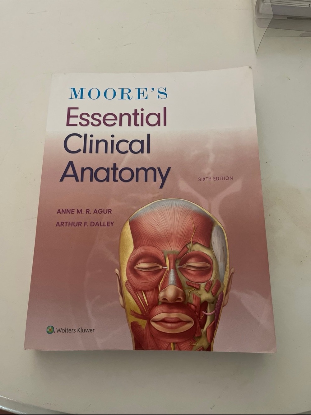 Essential Clinical Anatomy sixth edition